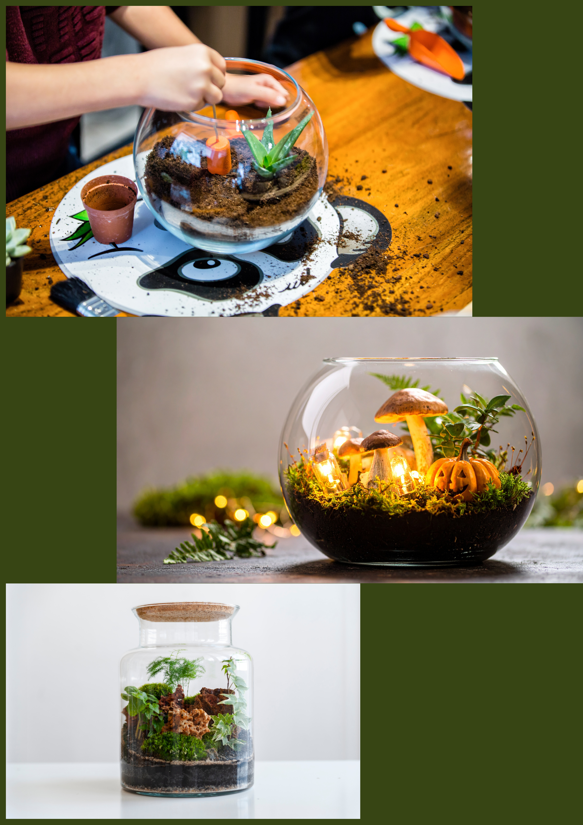 Terrarium Decorativi: Abbellisci il Tuo Spazio con Stile - Nootje store