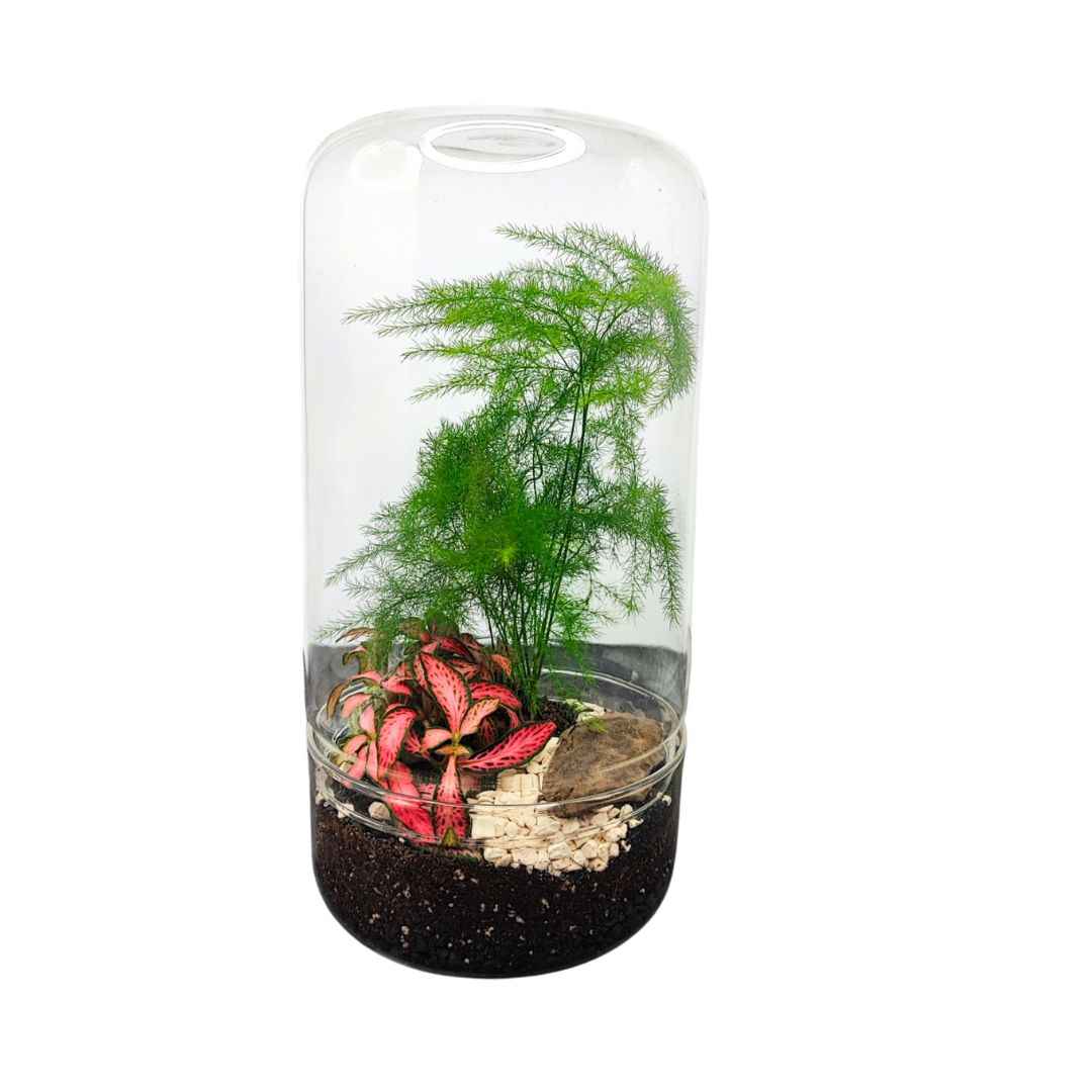 Terrarium Téa con piante verdi