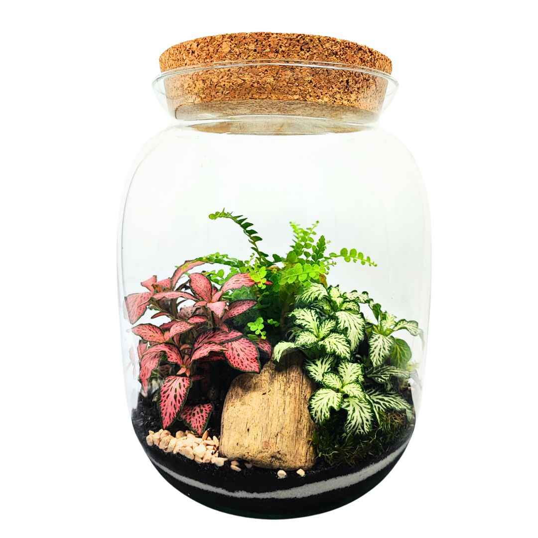 Terrarium Giardino Segreto 049 - Nootje store