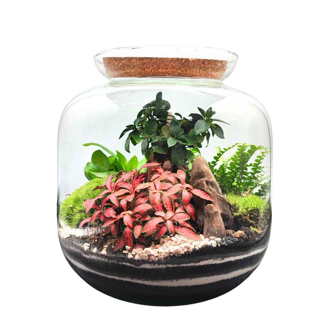 Terrarium Giardino Segreto Urbano - Nootje store