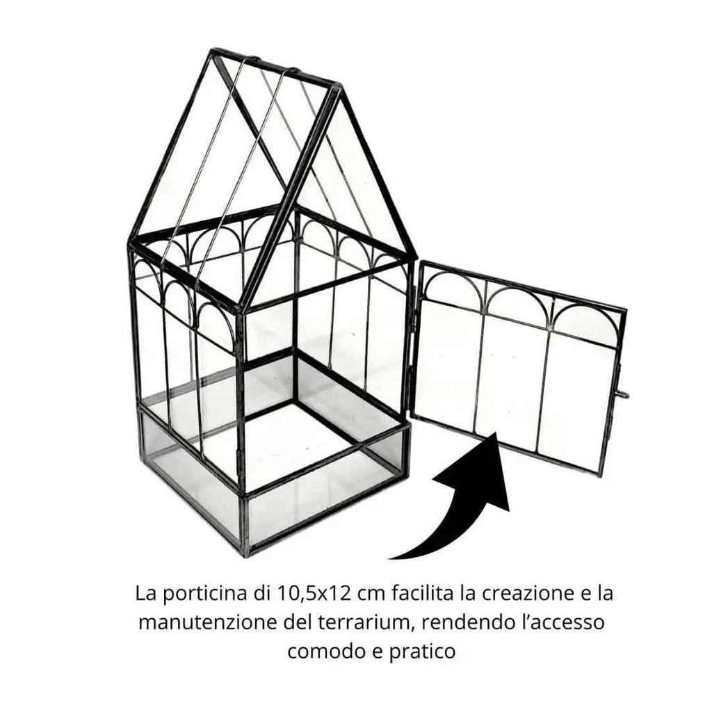 Kit Terrarium Geometrico Fai Da Te Giada Piante grasse - Nootje store