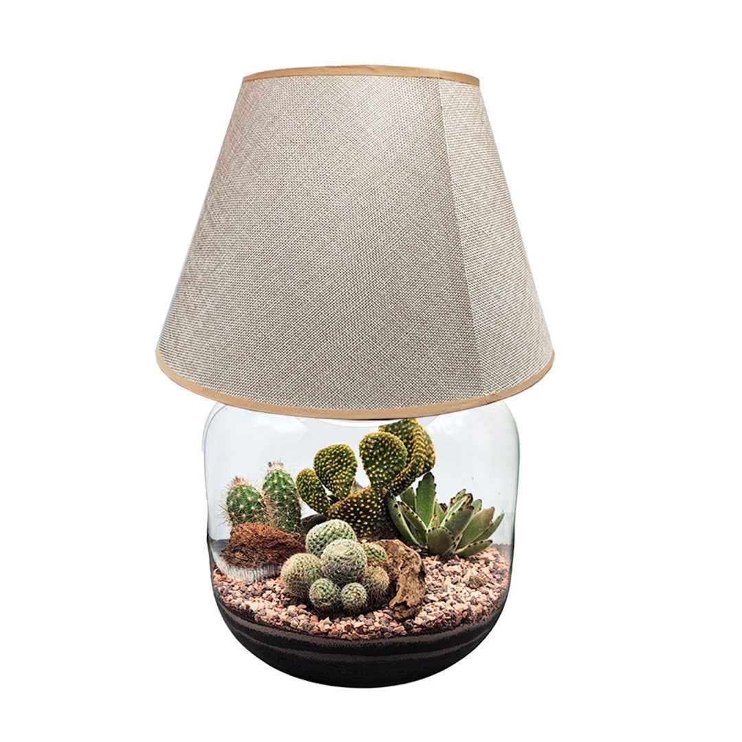 Terrarium Lamparium Martina Cactus