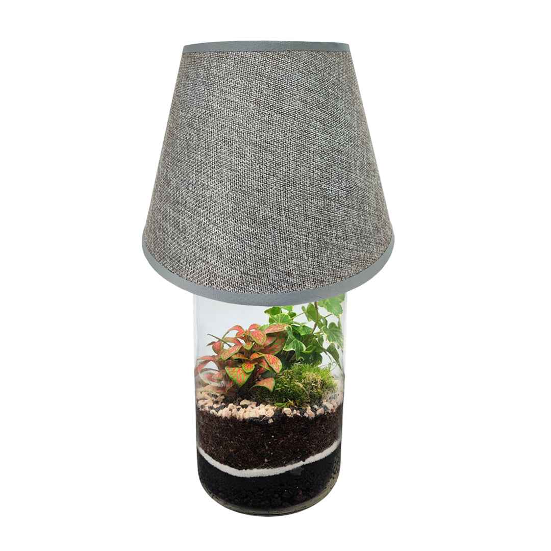 Terrarium Lamparium Aurora - Nootje store