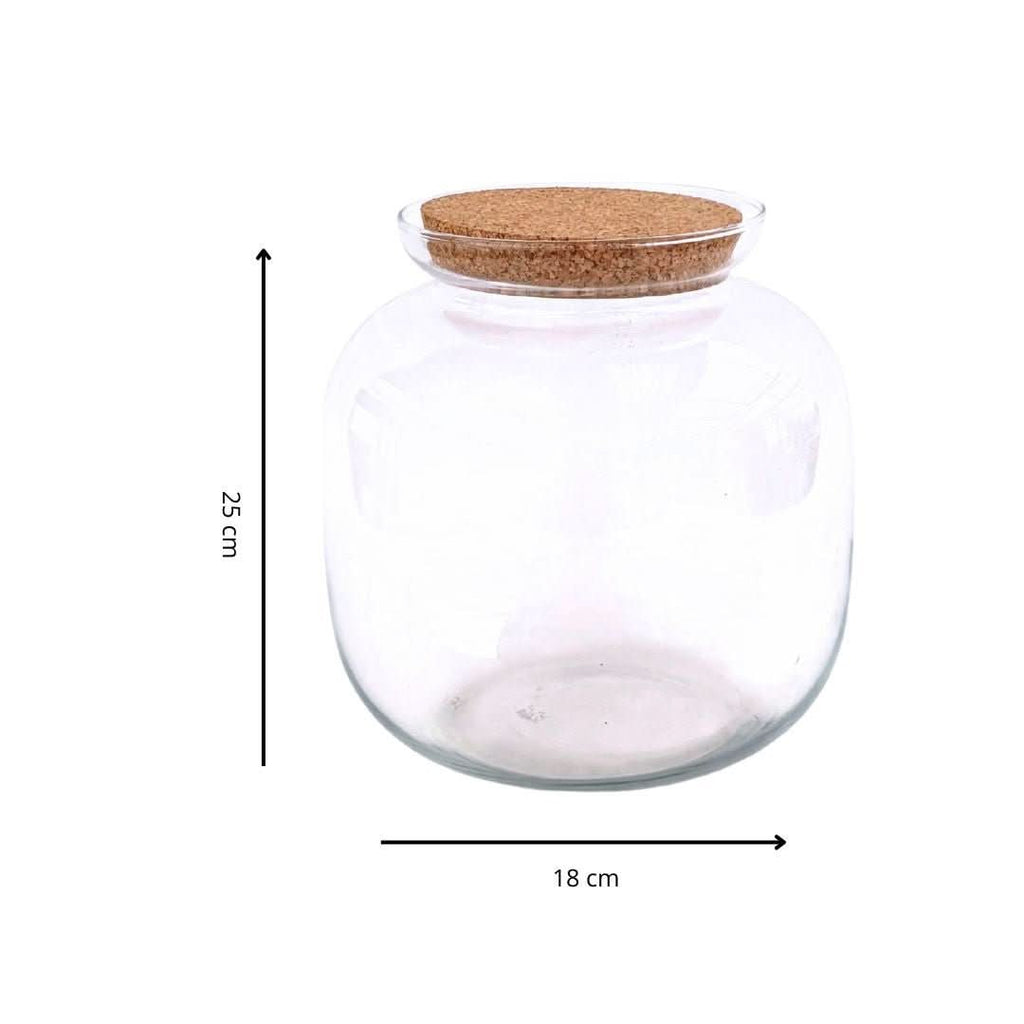 Contenitore Grande in Vetro Soffiato per Terrarium - Nootje store