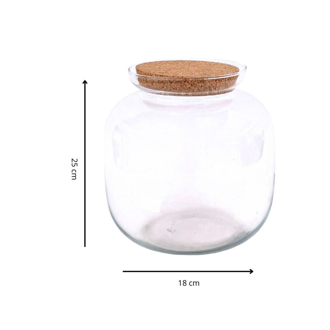 Contenitore Grande in Vetro Soffiato per Terrarium - Nootje store