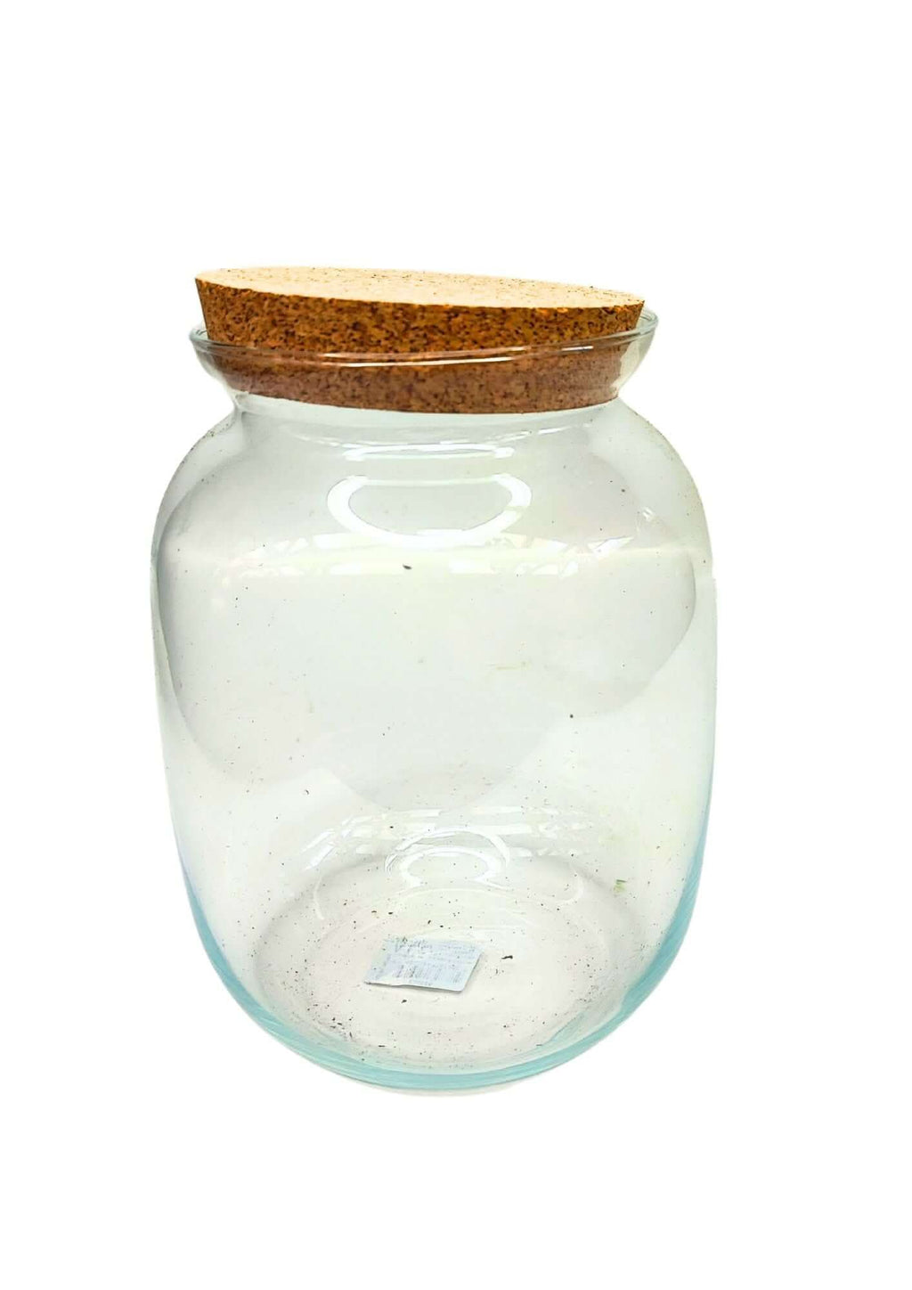 Contenitore Medio in Vetro Soffiato per Terrarium - Nootje store