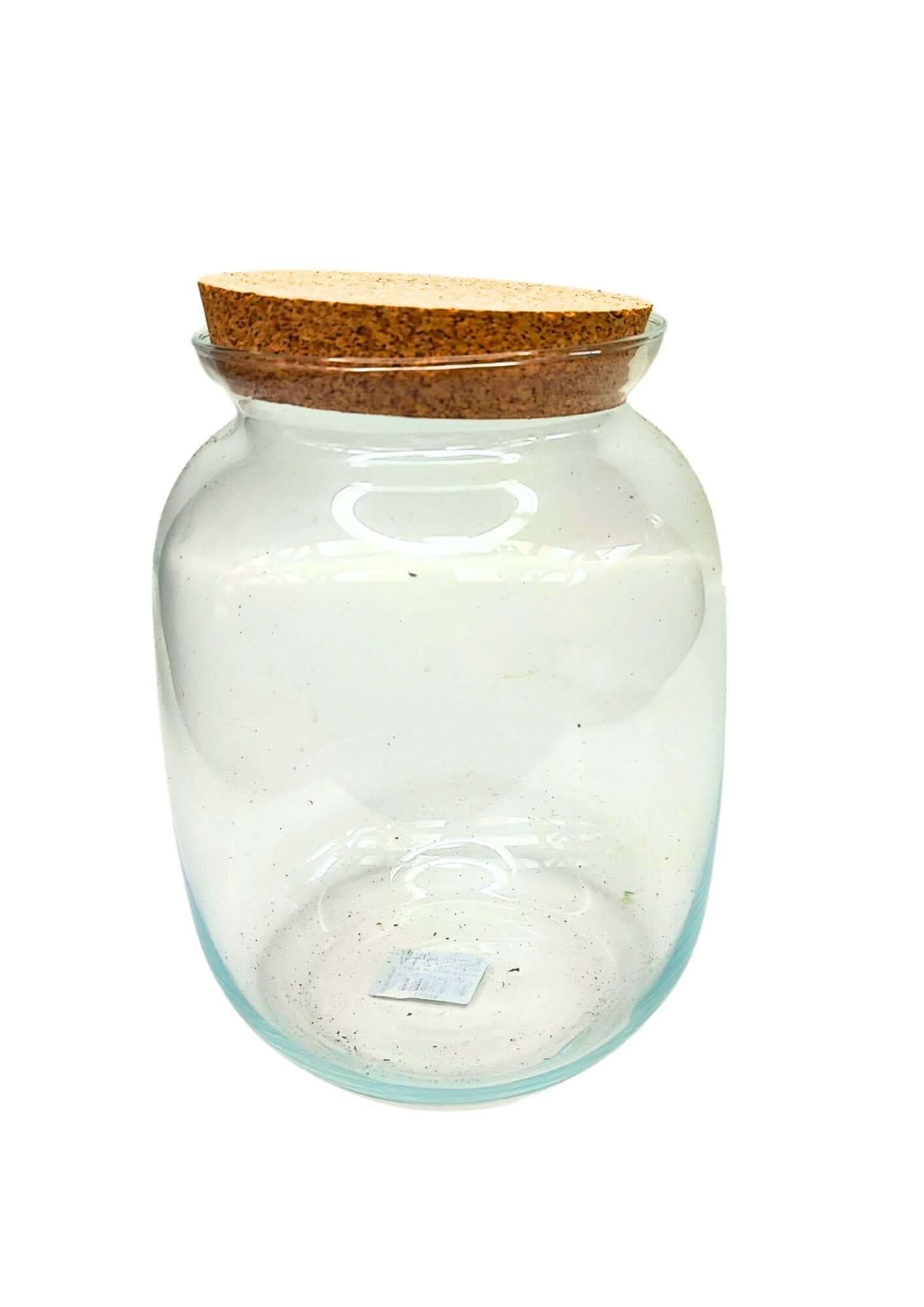 Contenitore Medio in Vetro Soffiato per Terrarium - Nootje store