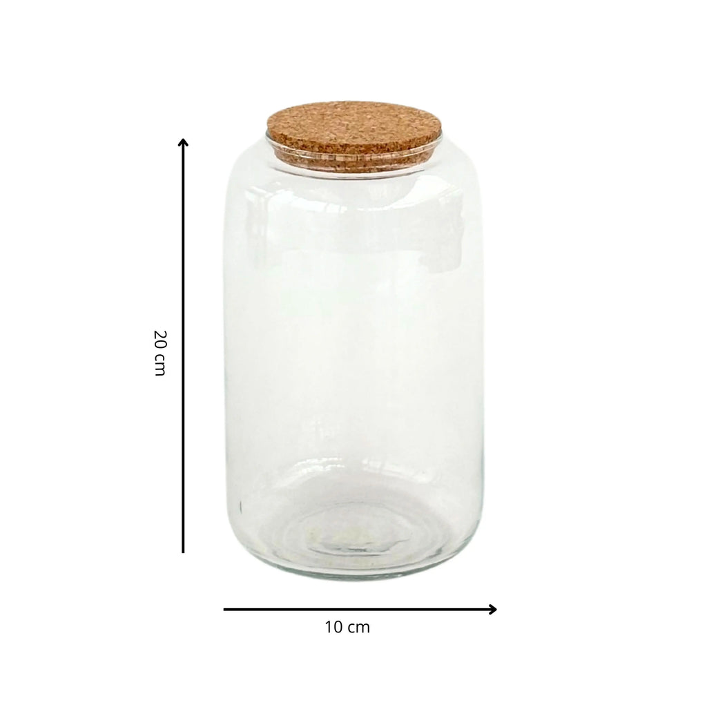 Contenitore Piccolo in Vetro Soffiato per Terrarium - Nootje store