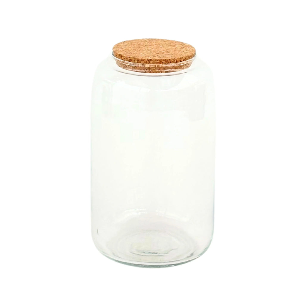 Contenitore Piccolo in Vetro Soffiato per Terrarium - Nootje store