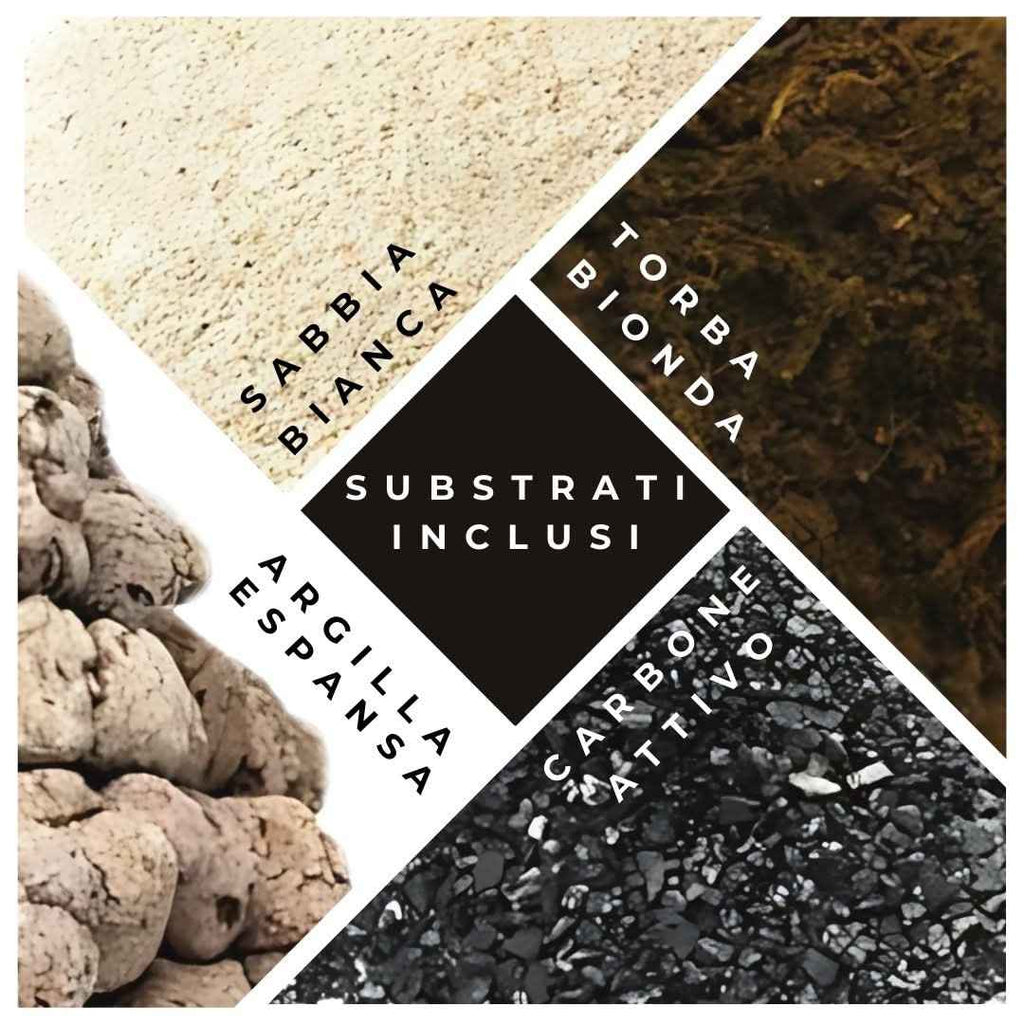 Kit Fai Da Te Terrarium Completo Geometrico  Florine