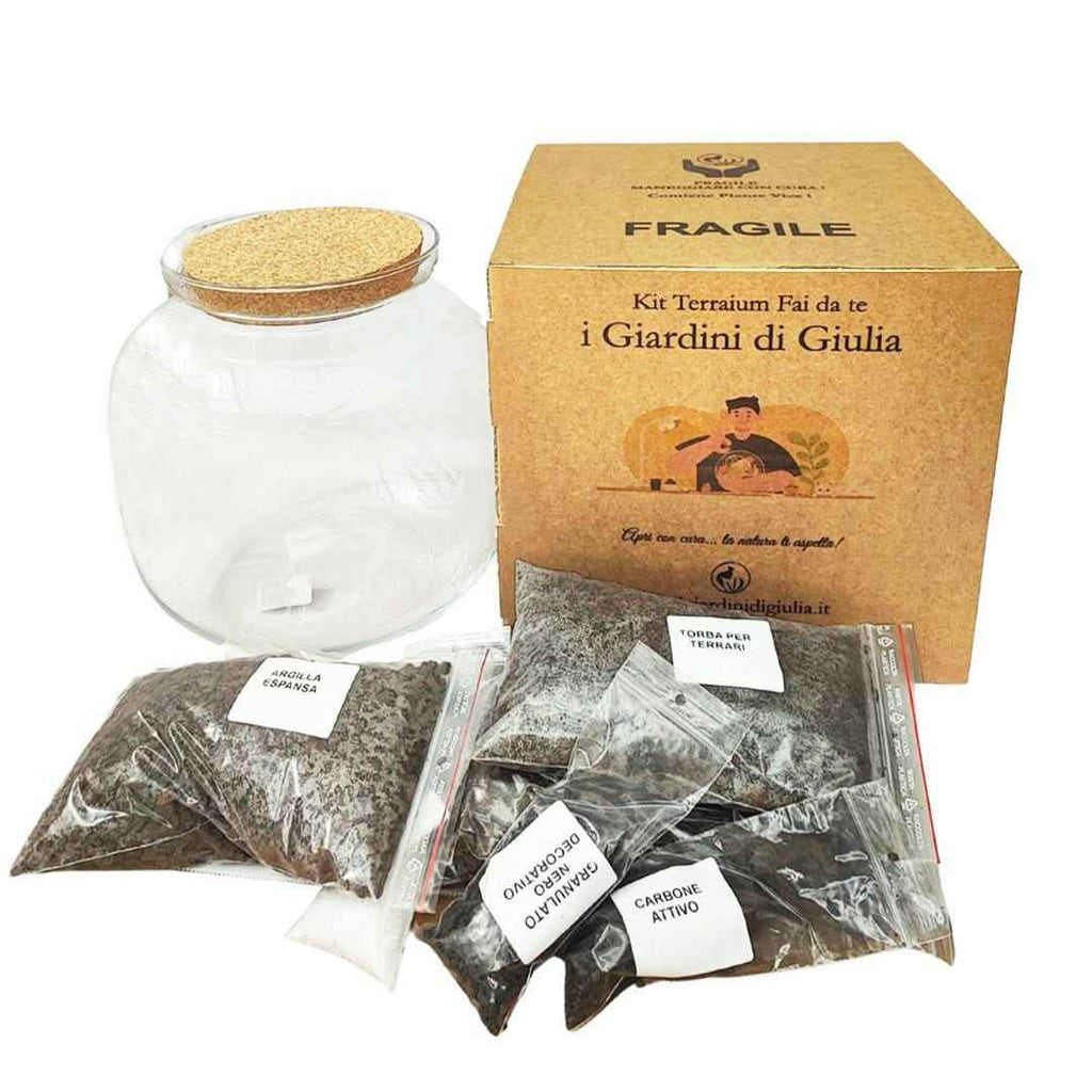 Kit terrarium 8FATE048 - Nootje store