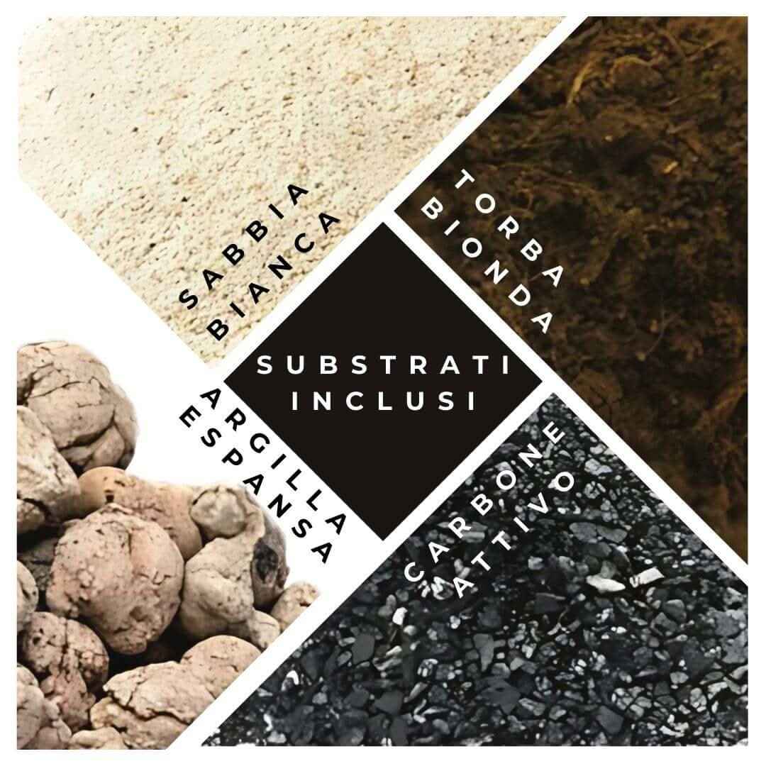 Kit terrarium fai da te con piante grasse completo