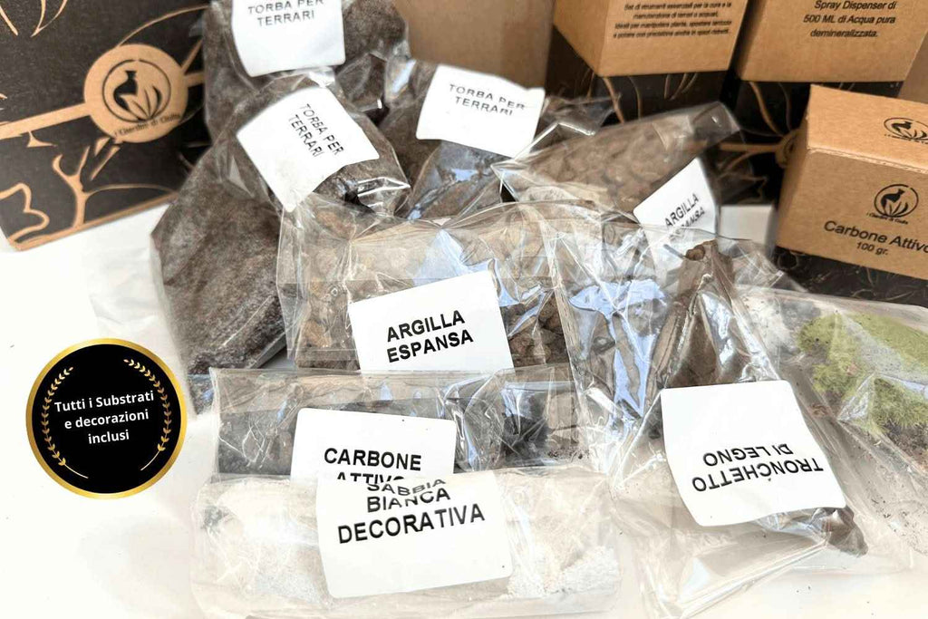 Kit Terrarium Fai Da Te Master | Il Super Kit per Creare un Giardino in Vetro Unico