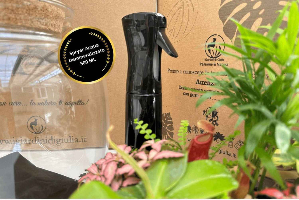 Kit Terrarium Fai Da Te Master | Il Super Kit per Creare un Giardino in Vetro Unico