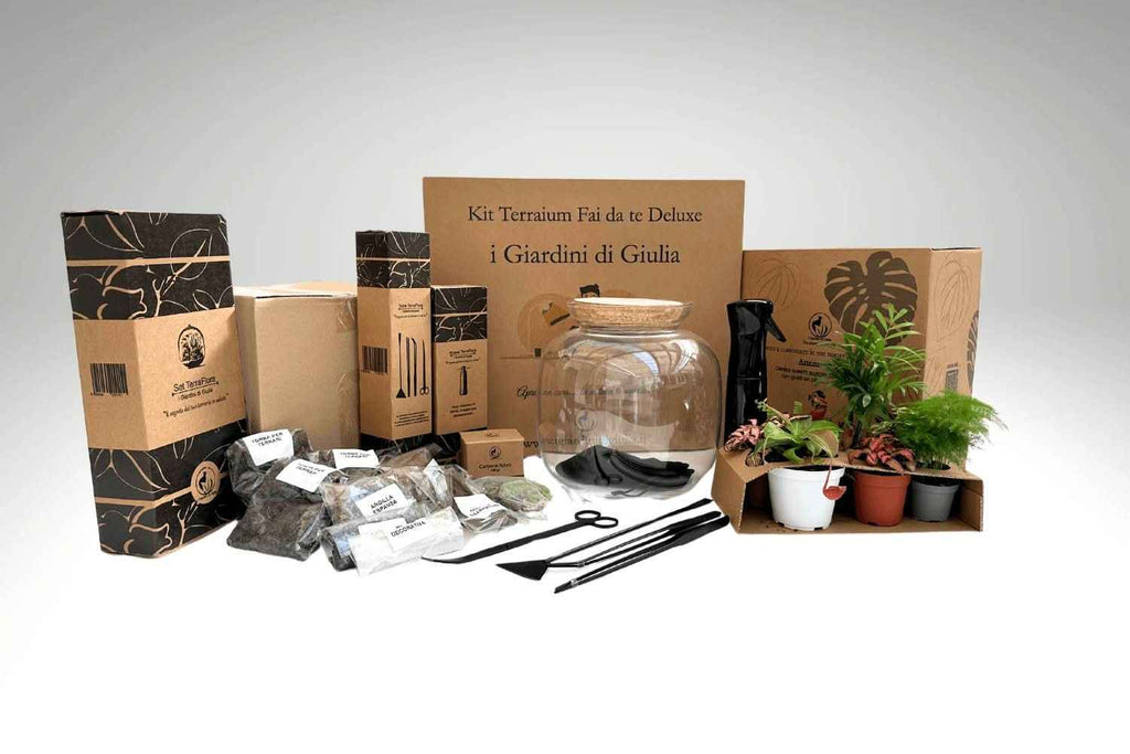 Kit Terrarium Fai Da Te Master | Il Super Kit per Creare un Giardino in Vetro Unico