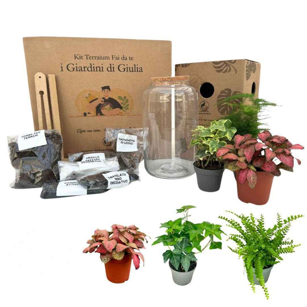 Kit Terrarium Fai Da Te Nadia | Crea il Tuo Giardino da Interno - Nootje store