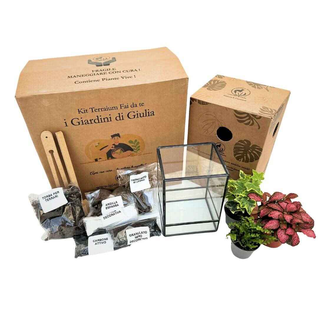 Kit Terrarium Geometrico Fai Da Te ADA | Crea il Tuo Giardino da Interno - Nootje store