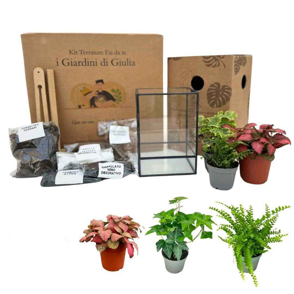 Kit Terrarium Geometrico Fai Da Te ADA | Crea il Tuo Giardino da Interno - Nootje store