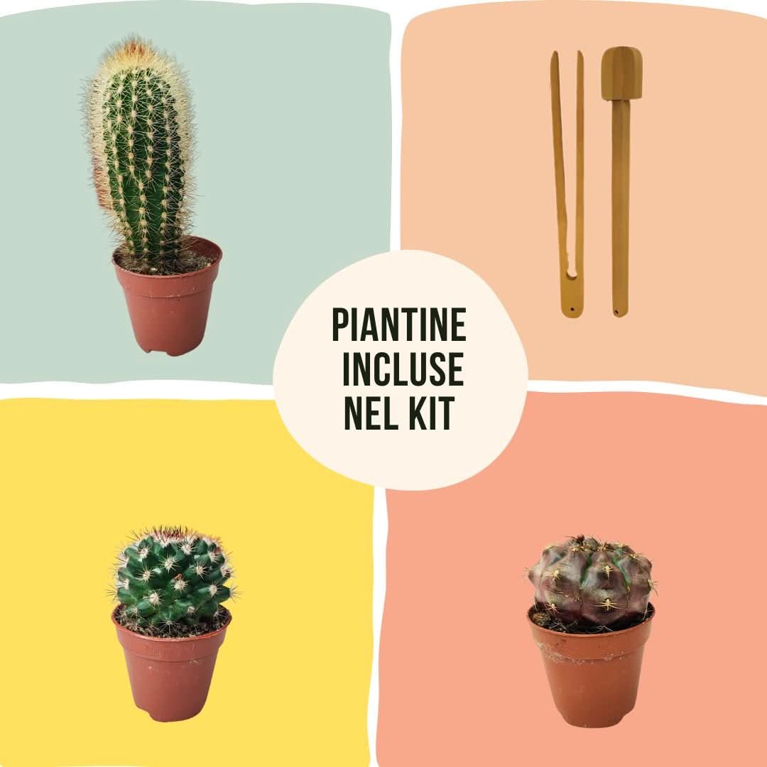 Kit Terrarium Geometrico Fai Da Te Beatrice Piante grasse - Nootje store