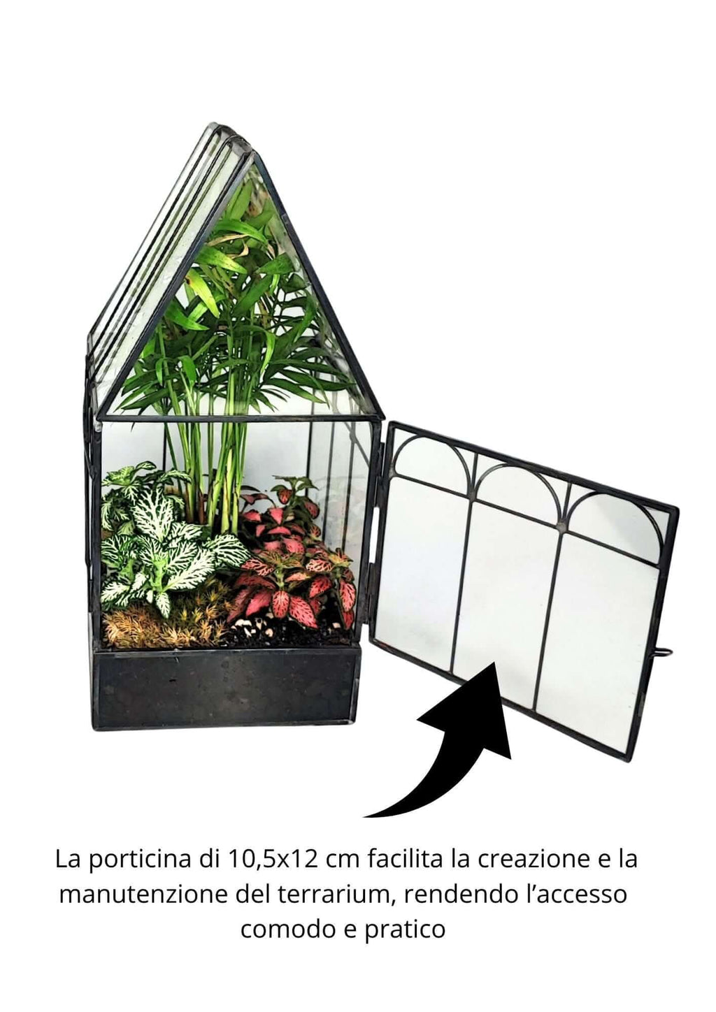 Kit terrarium geometrico fai da te con 4 piantine 2KITTERROM63 - Nootje store