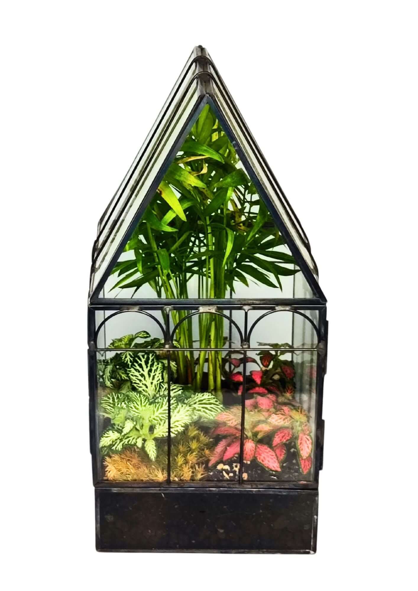 Kit terrarium geometrico fai da te con 4 piantine 2KITTERROM63 - Nootje store