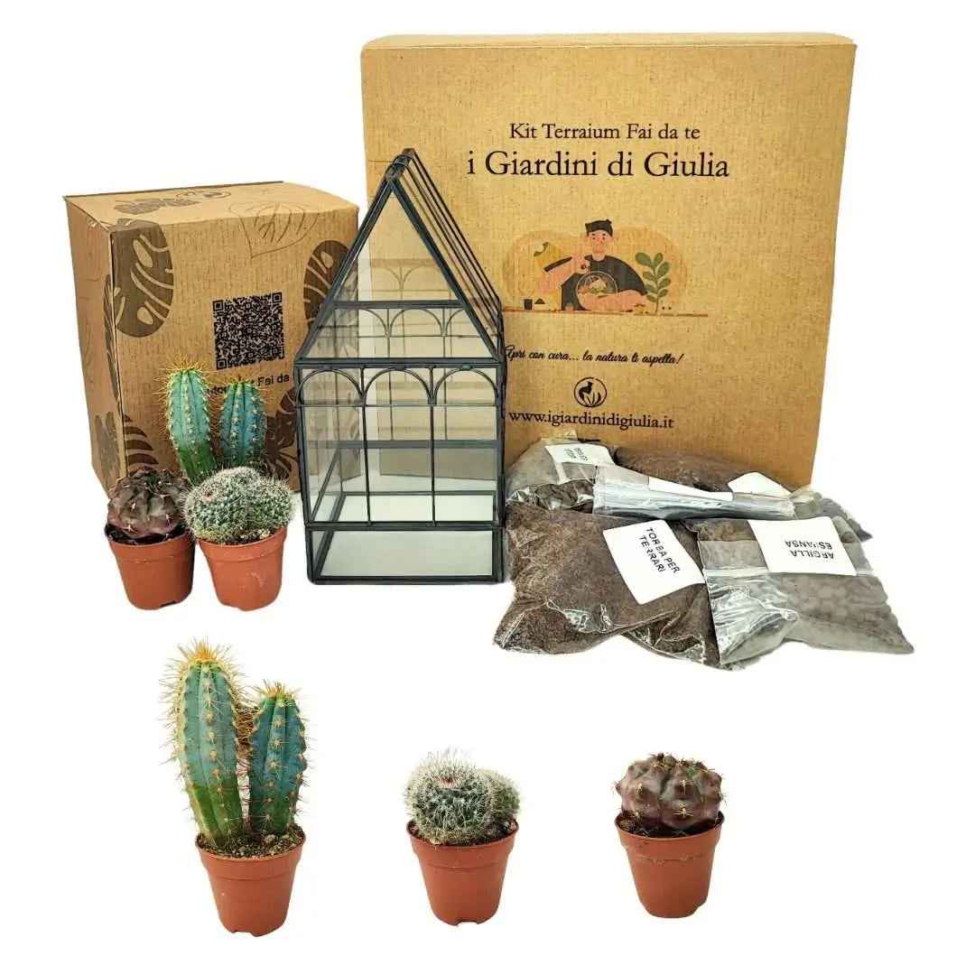 Kit Terrarium Geometrico Fai Da Te Giada Piante grasse - Nootje store