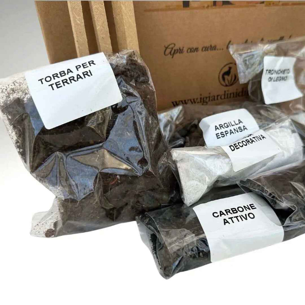 Kit Terrarium Geometrico Fai Da Te Monica | Crea il Tuo Giardino da Interno - Nootje store