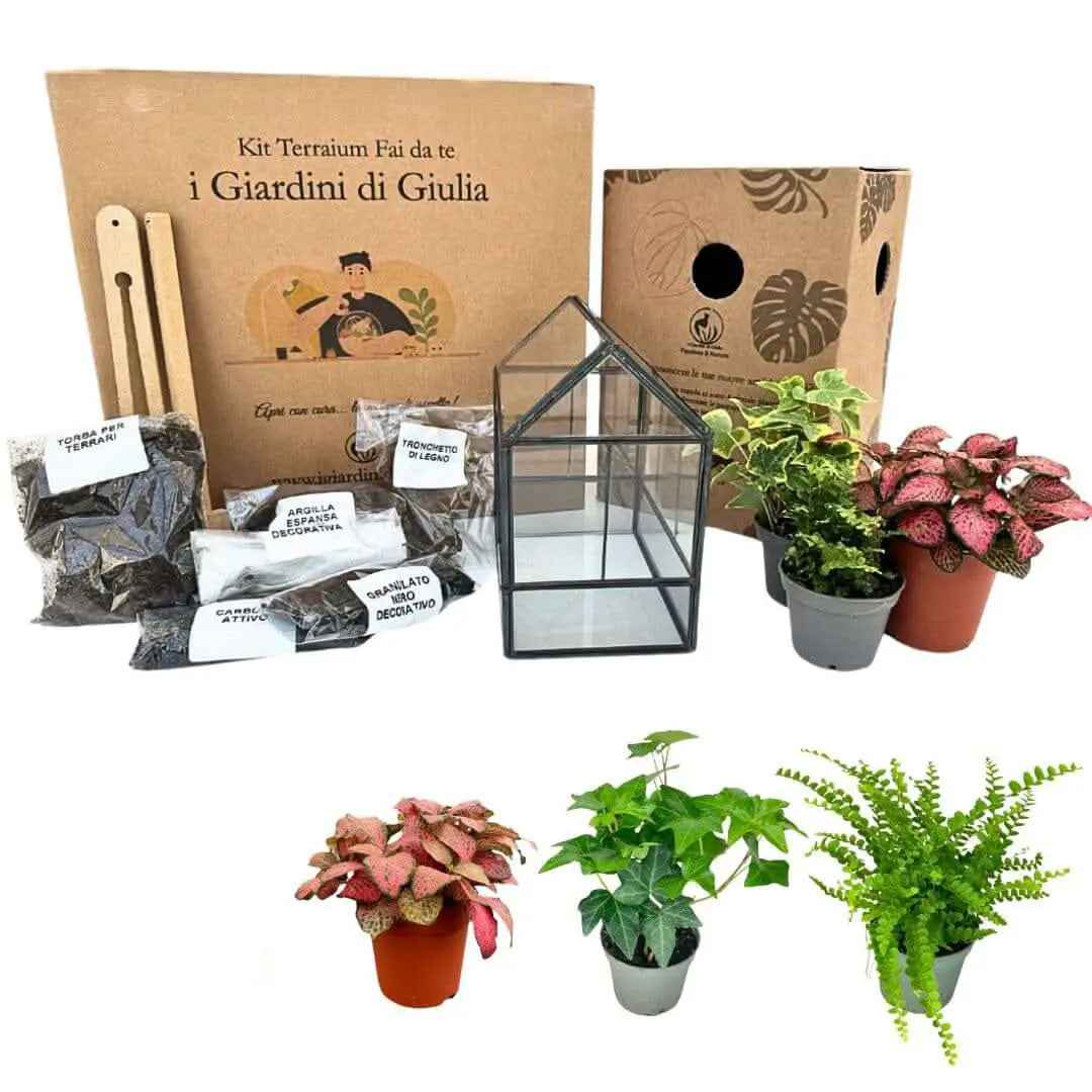 Kit Terrarium Geometrico Fai Da Te Monica | Crea il Tuo Giardino da Interno - Nootje store