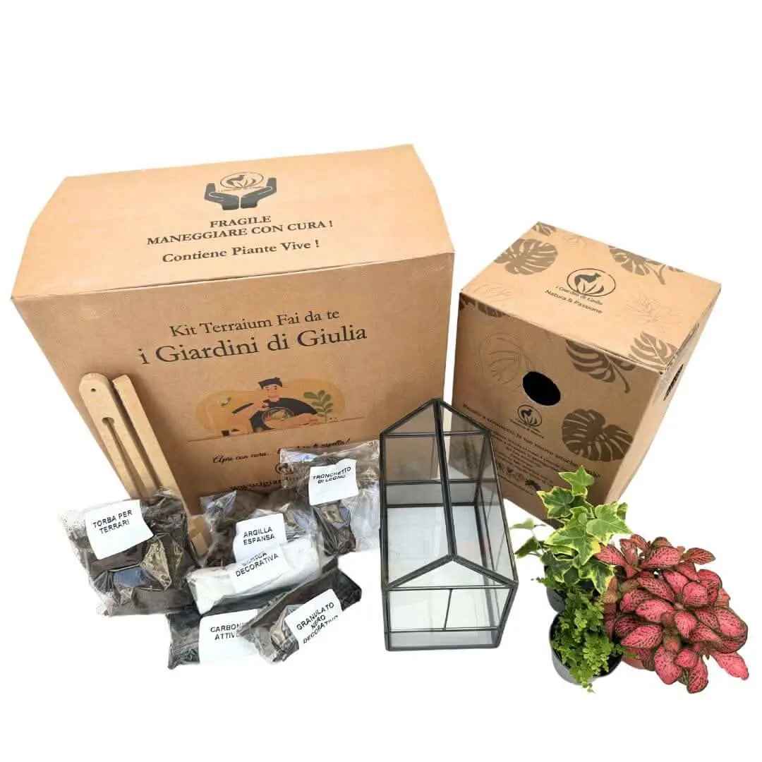 Kit Terrarium Geometrico Fai Da Te Monica | Crea il Tuo Giardino da Interno - Nootje store
