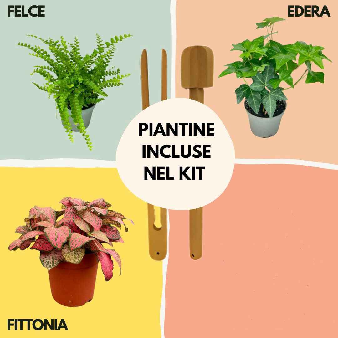 Kit Terrarium Fai Da Te Nadia | Crea il Tuo Giardino da Interno - Nootje store