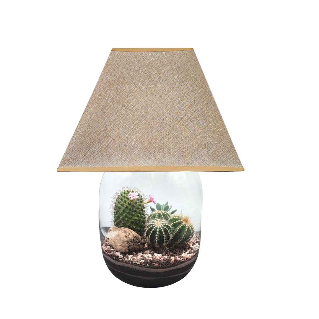 Terrarium lamparium Dune Lux Essential – LUM03G