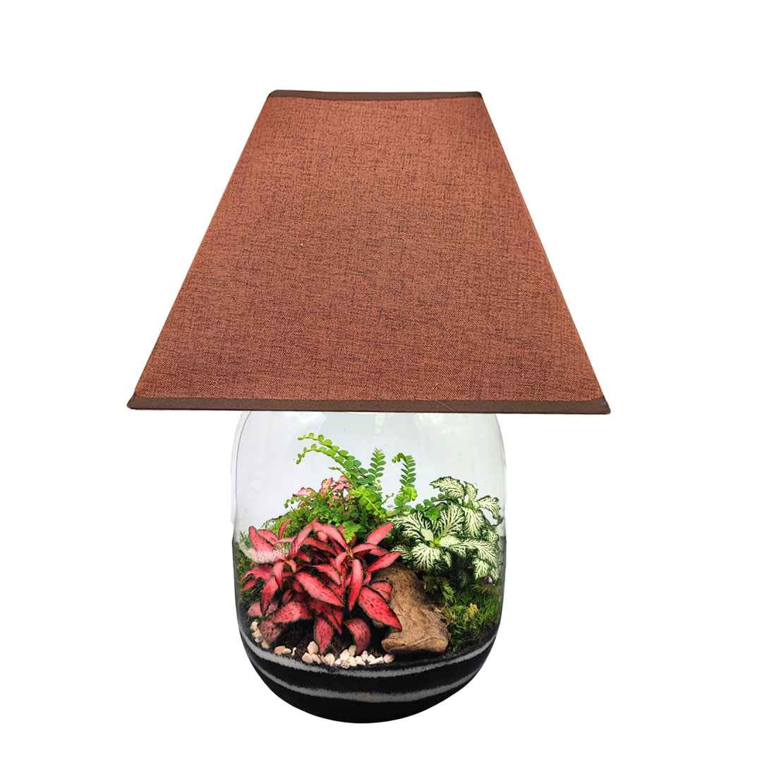 Terrarium Lamparium Oasi Lux elegant - Nootje store