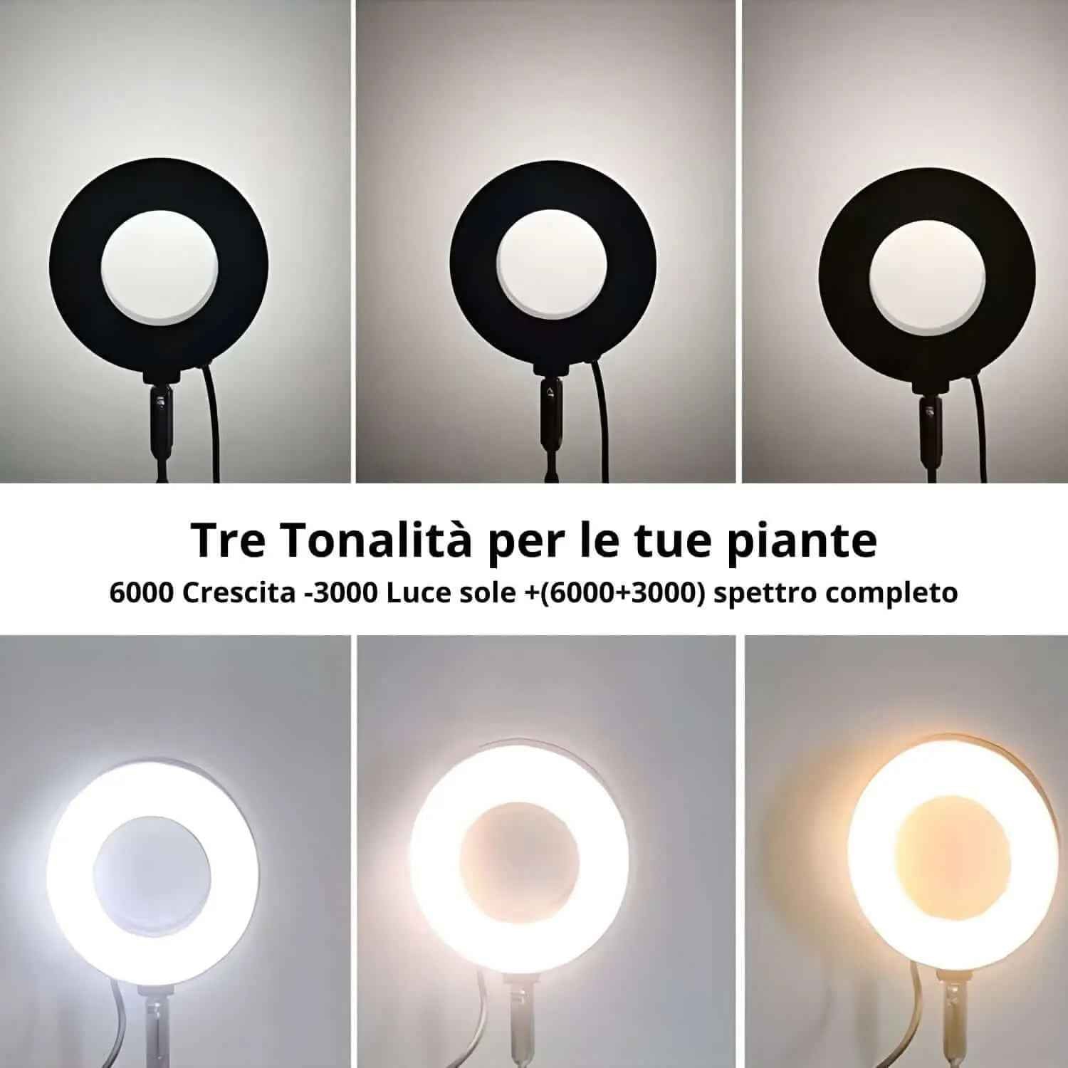 LumiFlora - Lampada LED Dimmerabile Telescopica per Terrarium, Bonsai, Piante Carnivore e da Scrivania - Nootje store
