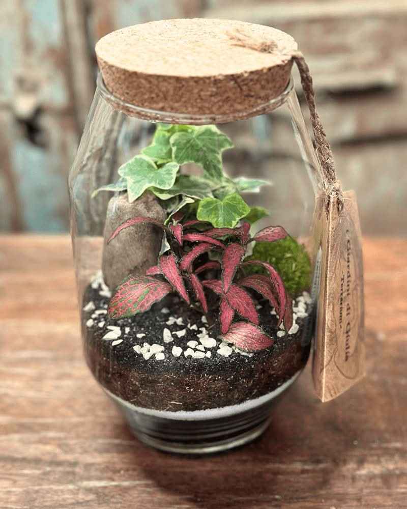 Terrarium Alessia 058 - Nootje store