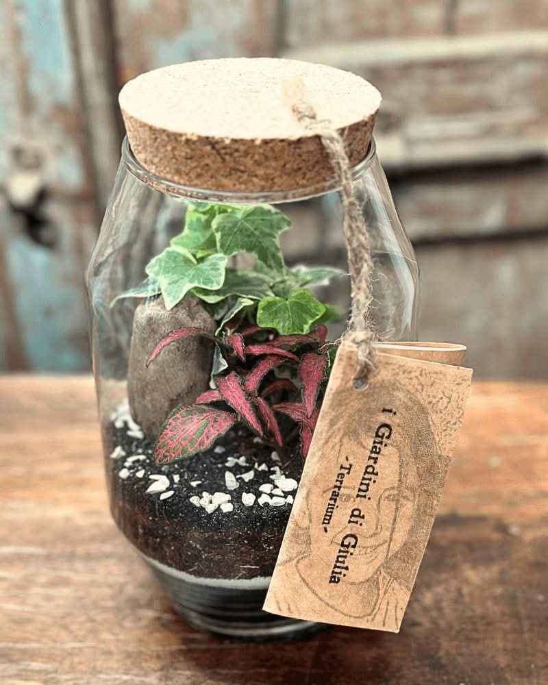 Terrarium Alessia 058 - Nootje store