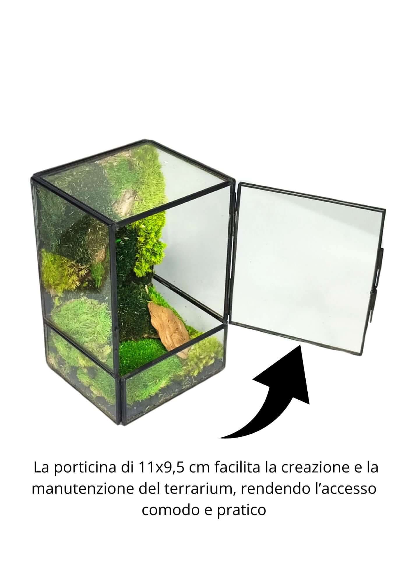 Terrarium geometrico Angolo di Vita 2TR074 - Nootje store