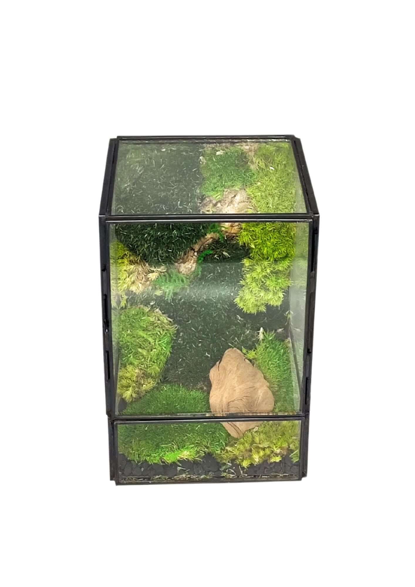 Terrarium geometrico Angolo di Vita 2TR074 - Nootje store