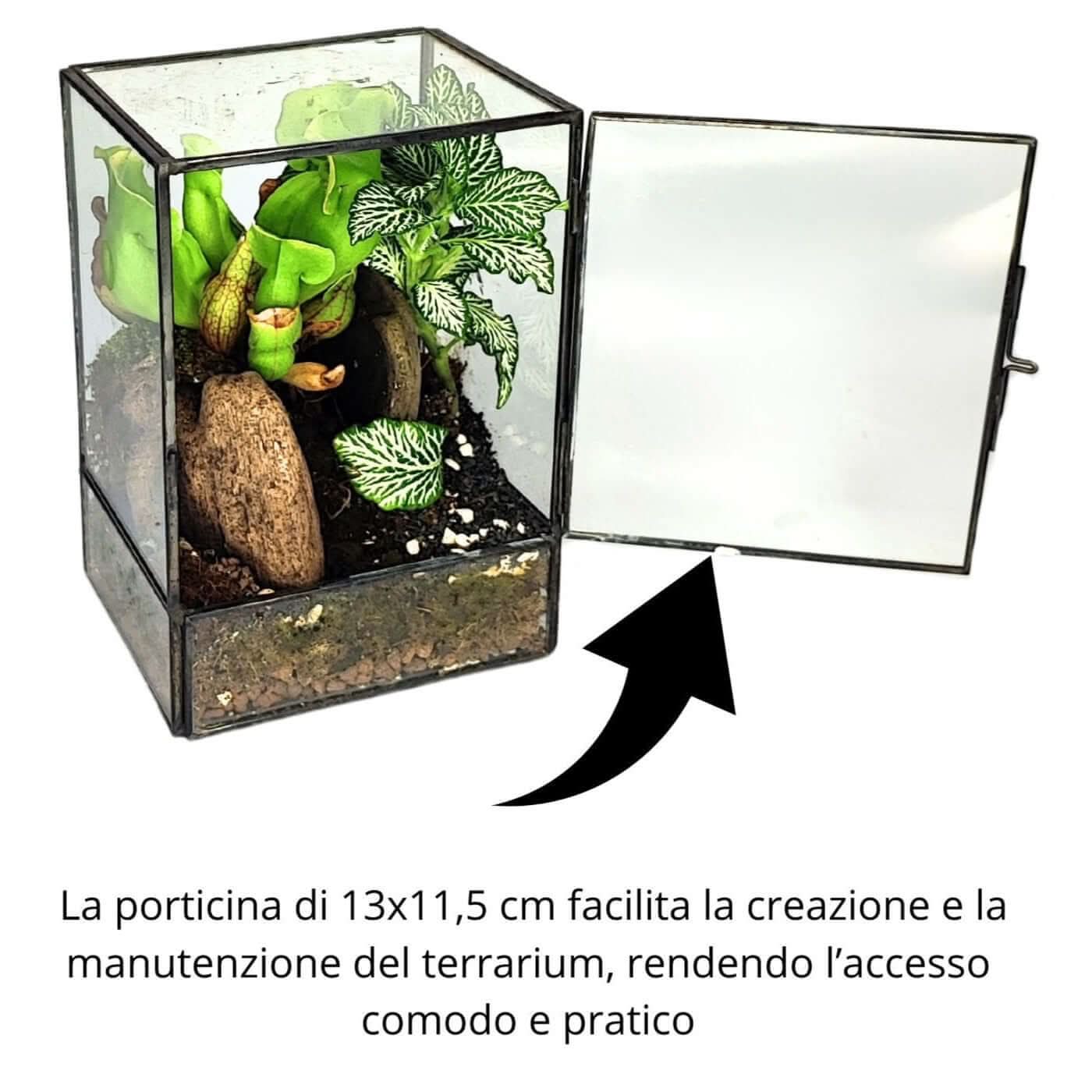 Terrarium geometrico Angolo Verde 2TR075 - Nootje store