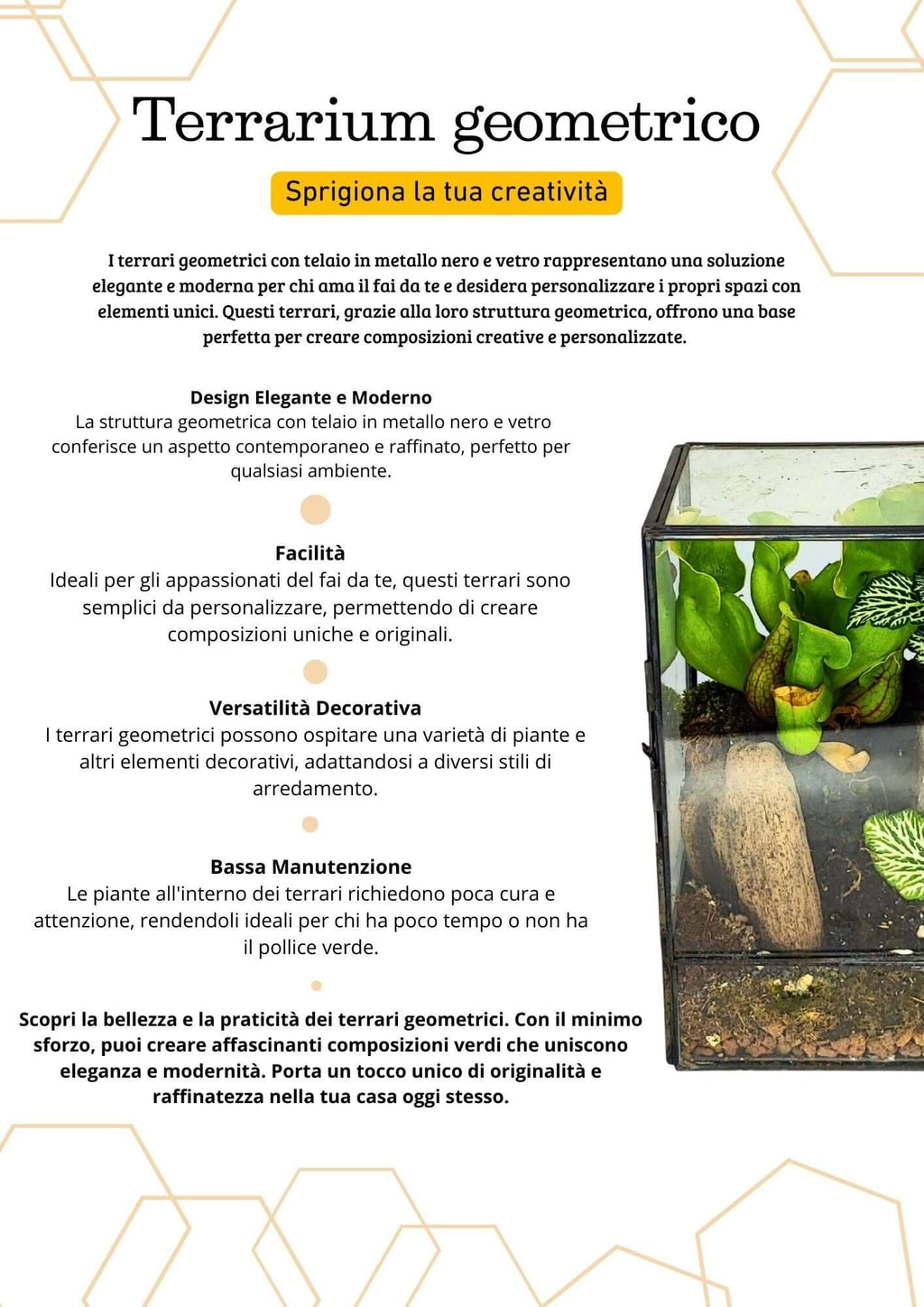 Terrarium geometrico Angolo Verde 2TR075 - Nootje store