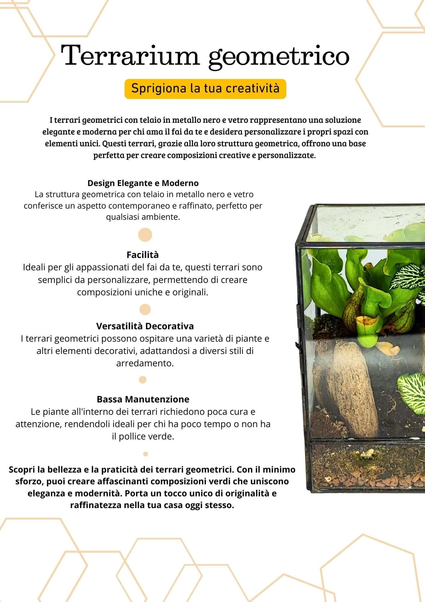 Terrarium geometrico Angolo Verde 2TR075 - Nootje store