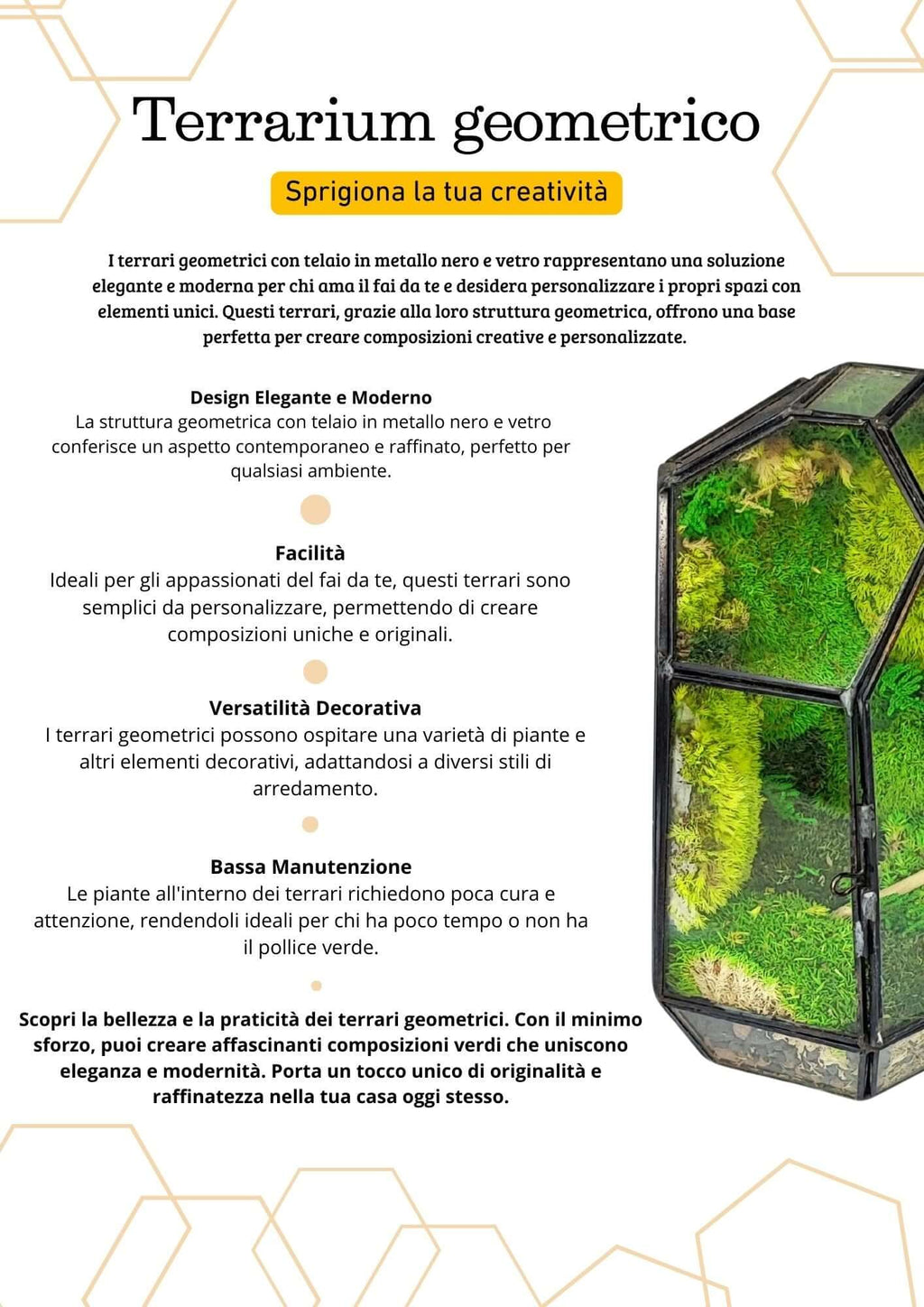 Terrarium geometrico Cristallo di Smeraldo 2TR072 - Nootje store