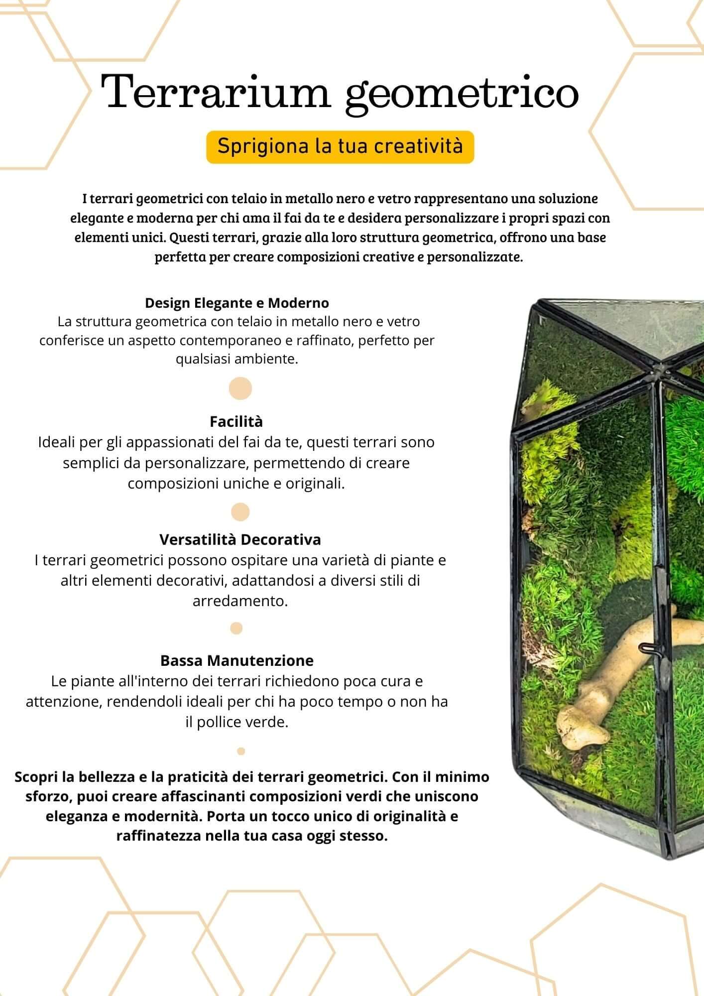 Terrarium geometrico Eden di Vetro 2TR064 - Nootje store