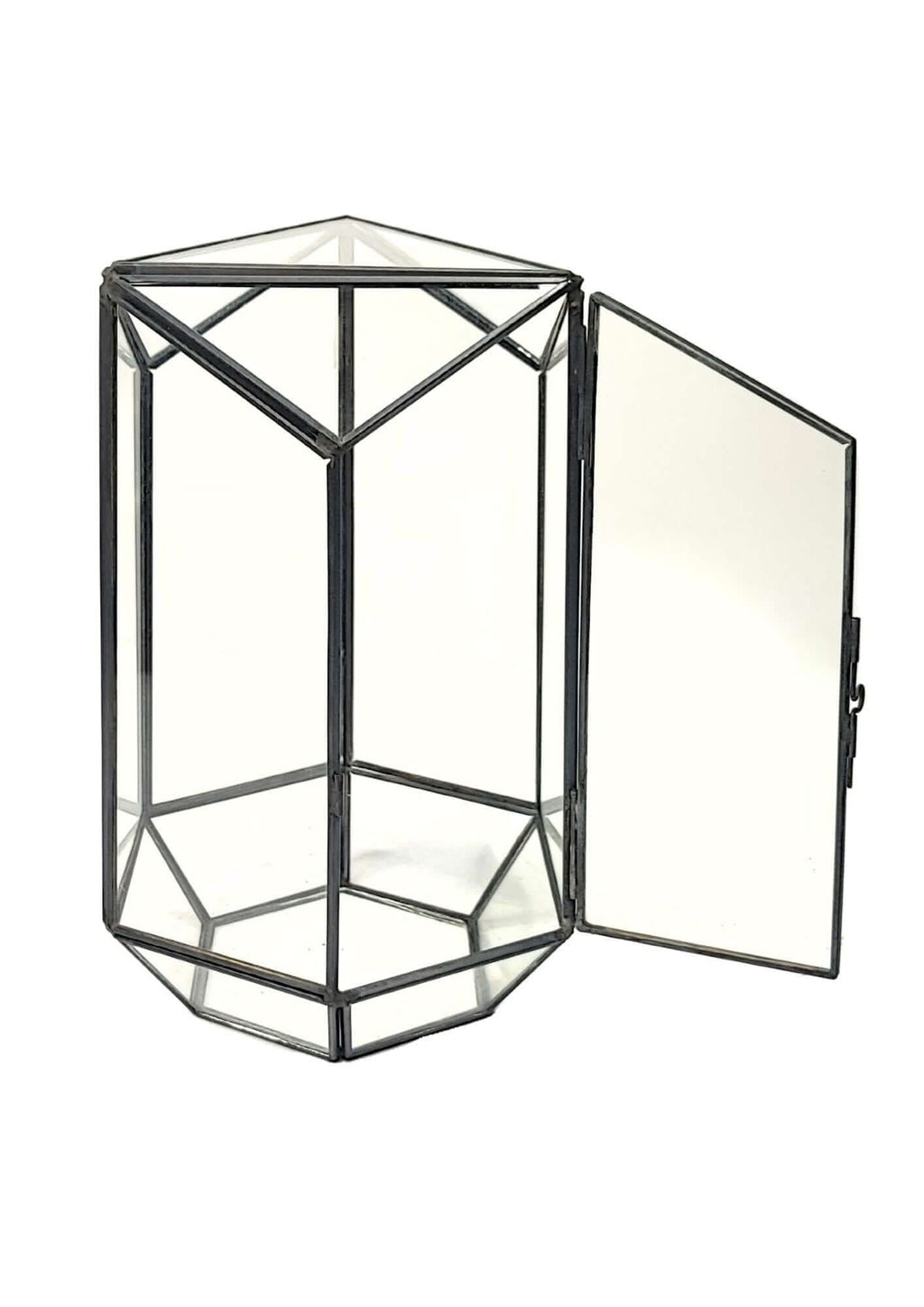 Terrarium geometrico Eden di Vetro 2TR064 - Nootje store