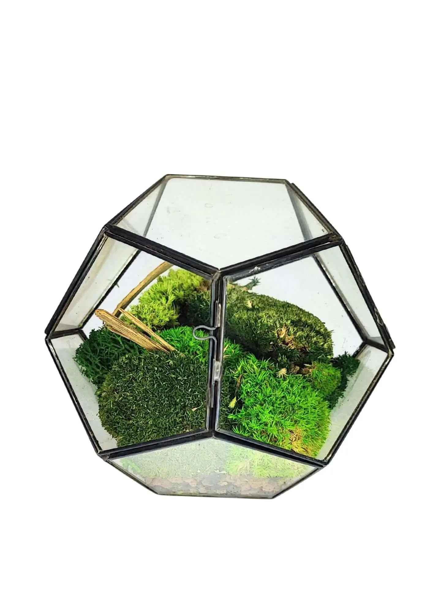 Terrarium geometrico Giardino di Cristallo 2TR070 - Nootje store