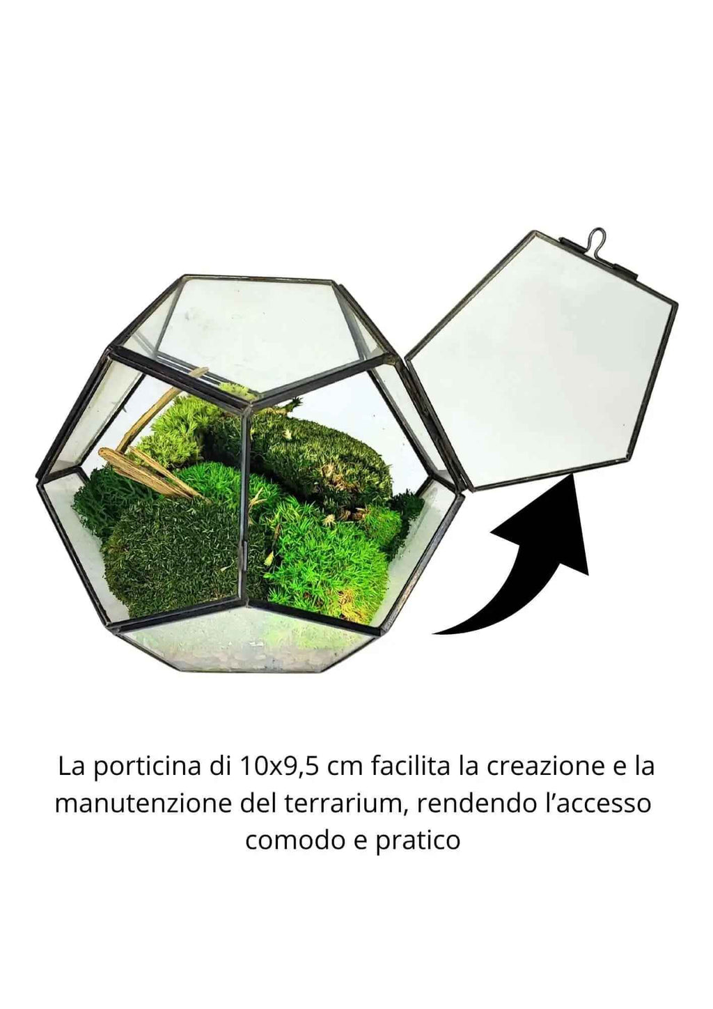Terrarium geometrico Giardino di Cristallo 2TR070 - Nootje store