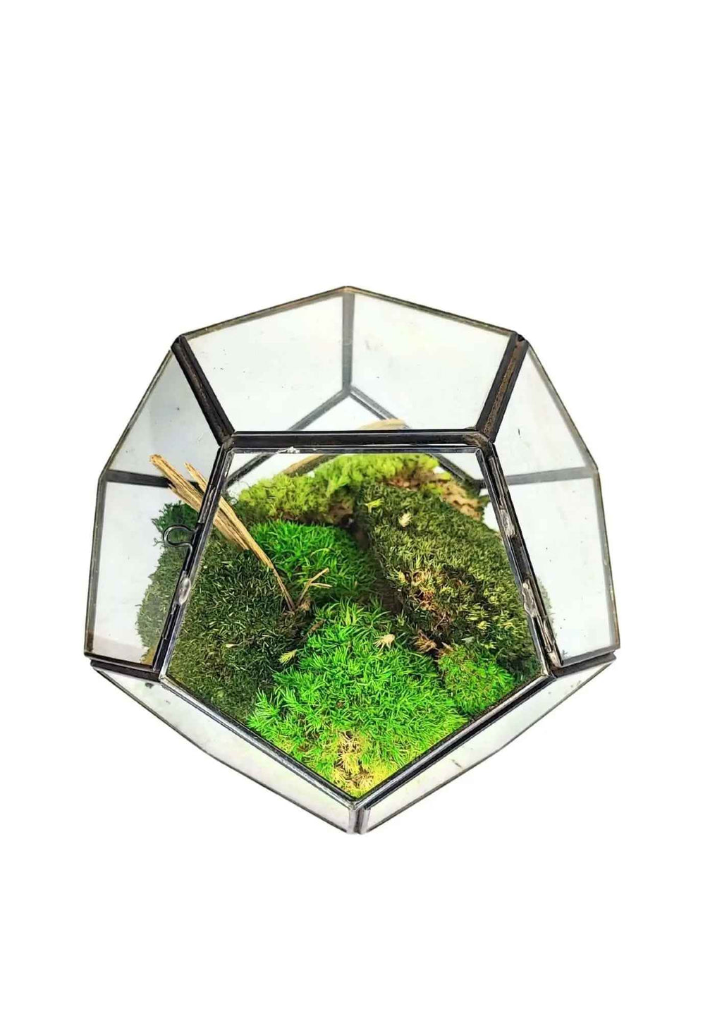 Terrarium geometrico Giardino di Cristallo 2TR070 - Nootje store