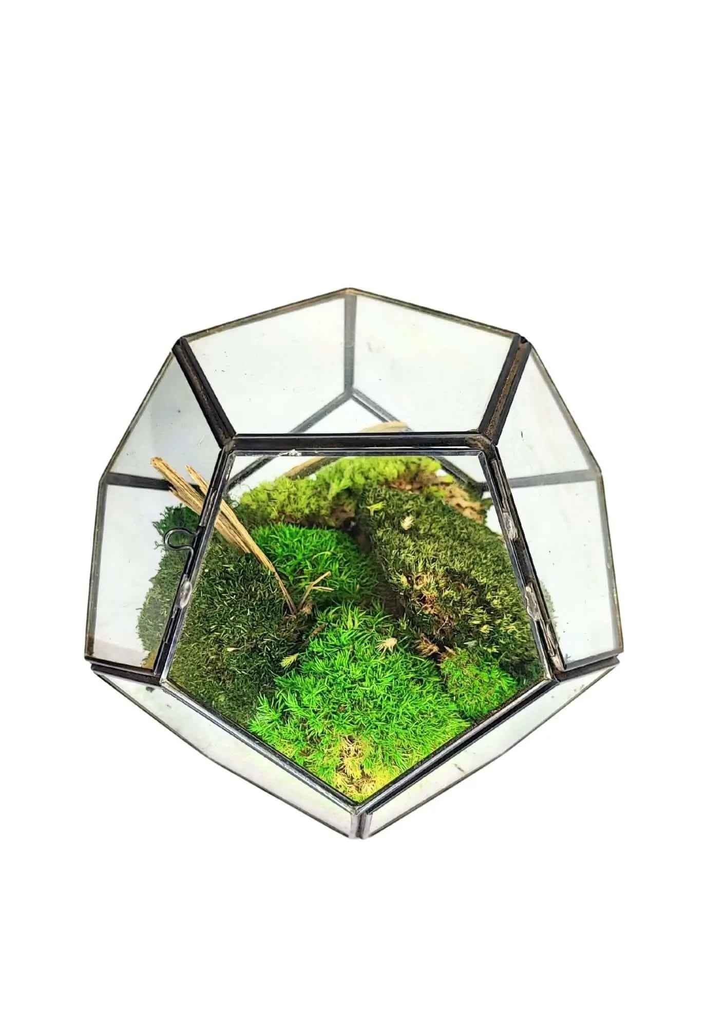 Terrarium geometrico Giardino di Cristallo 2TR070 - Nootje store