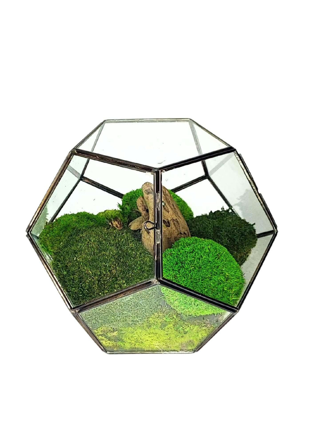 Terrarium geometrico Habitat Incantato 2TR071 - Nootje store