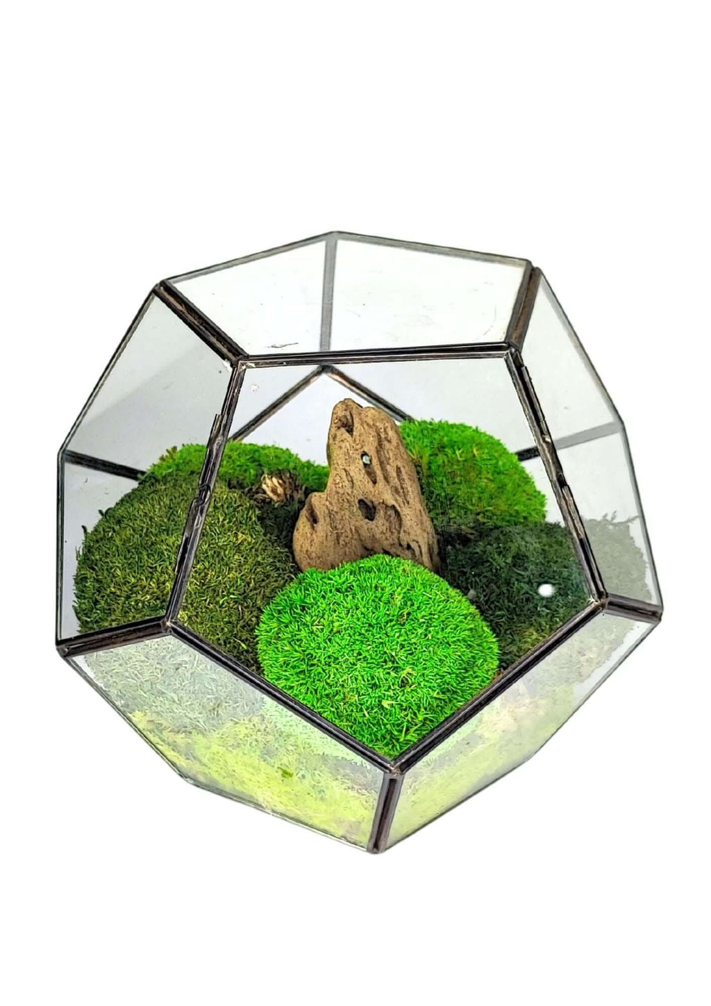 Terrarium geometrico Habitat Incantato 2TR071 - Nootje store