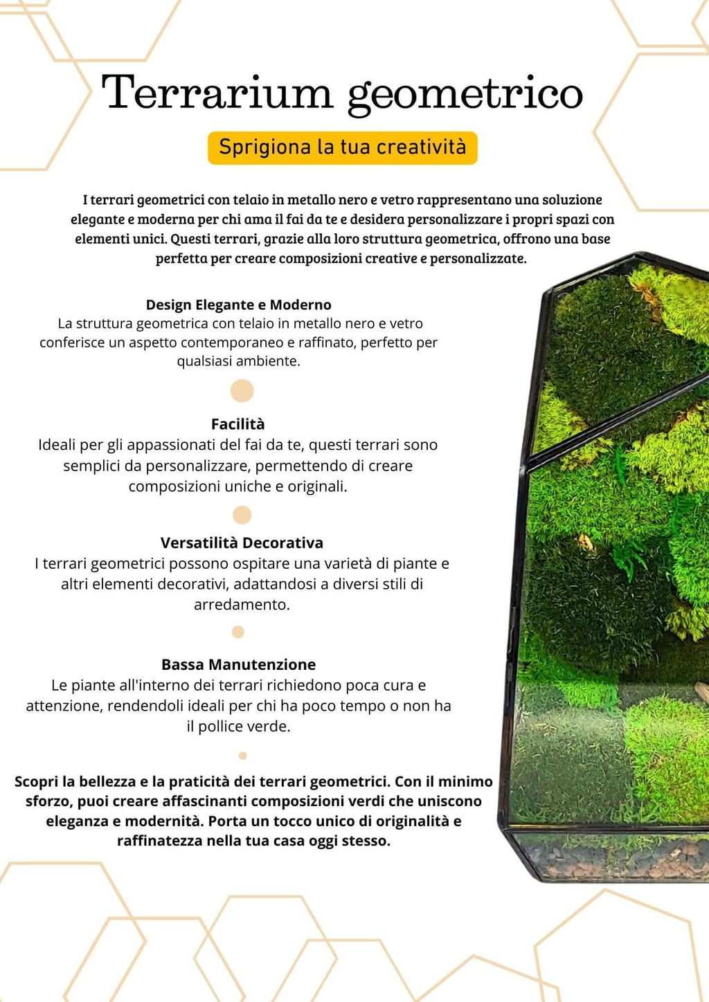 Terrarium geometrico Oasi di Luce 2TR068 - Nootje store